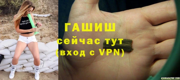 гидра Михайловка