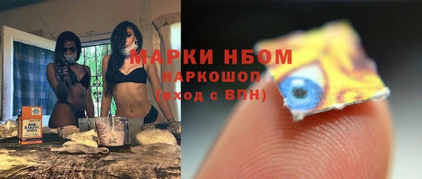 прущие грибы Беслан