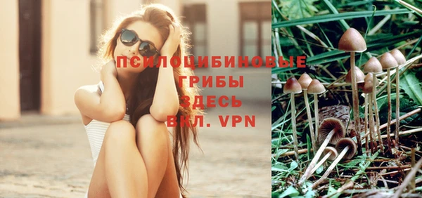 гидра Михайловка