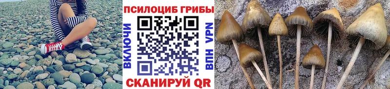 Псилоцибиновые грибы прущие грибы  Никольск 