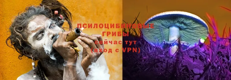 Псилоцибиновые грибы мицелий  Никольск 